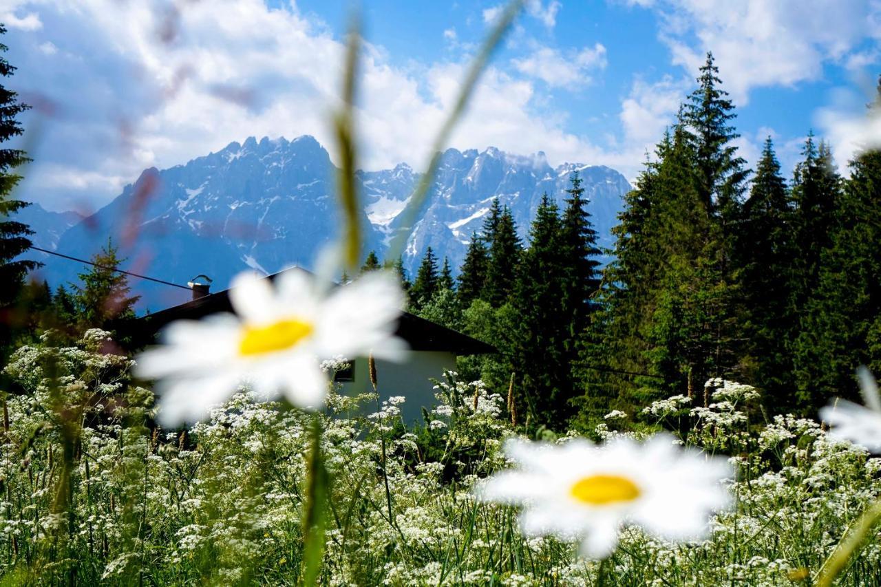 Ferienwohnung Haus Alpengluehn Iselsberg Exterior foto